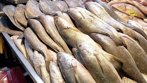 Live Selling and Cutting Lahori fry fish and grill fish on streets of pakistan