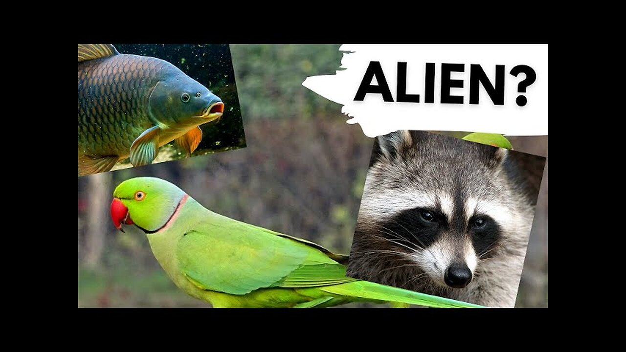 10 animal you don't have in UK/james smitj