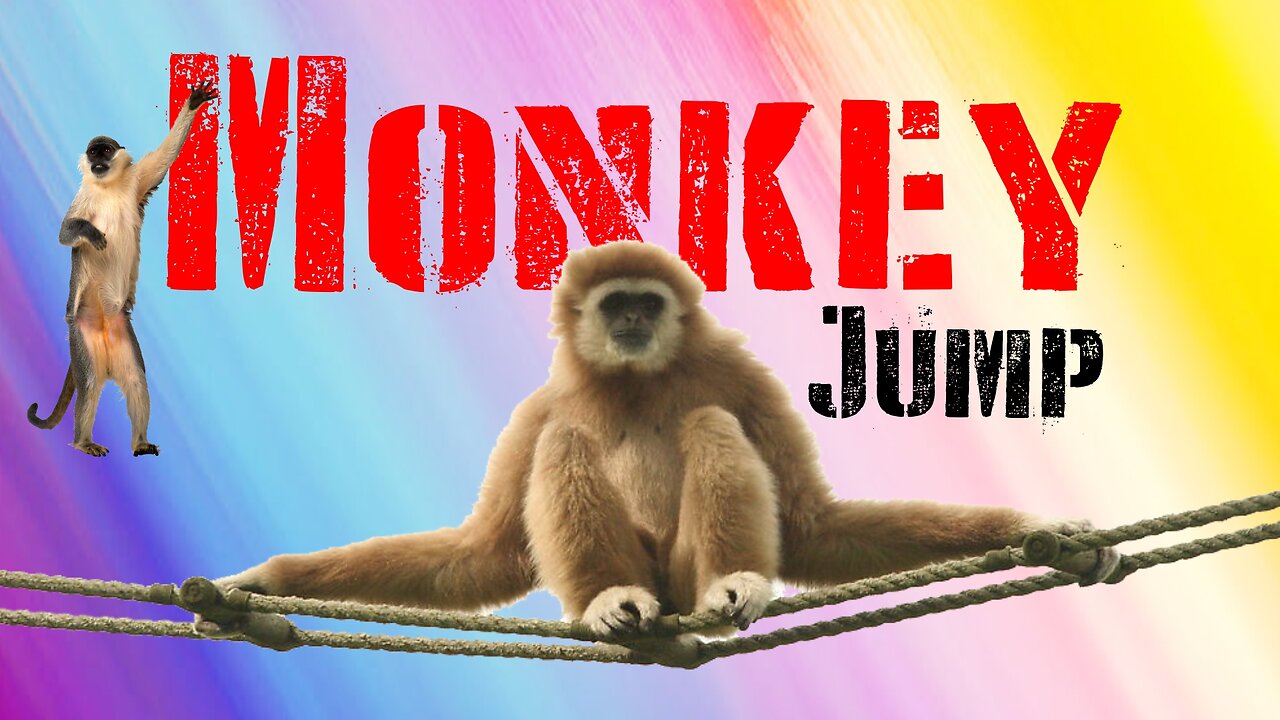 🙈Monkey Mayhem: Hilarious Primate Antics!🐵