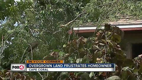 Cape Coral woman fed up with overgrowth