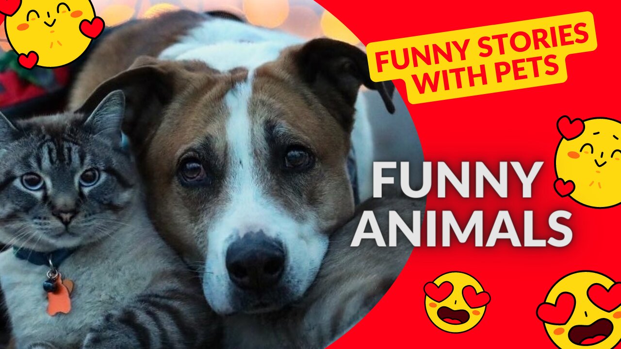 Funny stories with pets