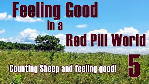 Feeling Good in a Red Pill World -- Counting Sheep