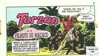 TARZAN FORMATINHO 10 O FILHOTE DE MACACO