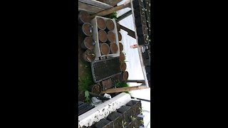 Earth Day 🌎 Garden Update!
