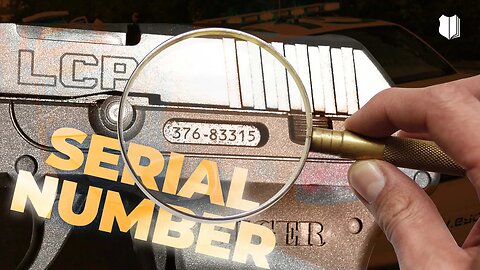 Ep #511 Running firearm serial numbers on traffic stops