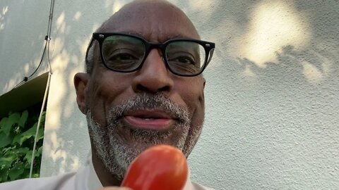 Let's Get To Picking! The First Harvest & Taste of Tomatoes!