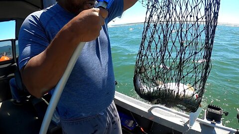 Salmon Fishing We had to put it back! Oregon Coast!