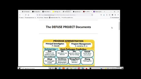 The Defuse Project