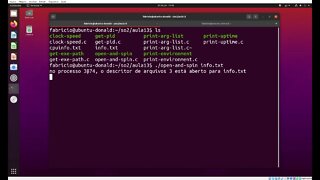 Estatísticas de Memória de Processos no Linux