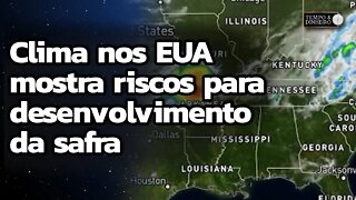 Clima nos EUA mostra riscos para desenvolvimento da safra