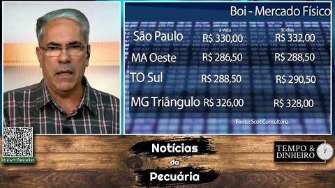 Boi gordo com preço estável mas custos de produção de carnes em alta