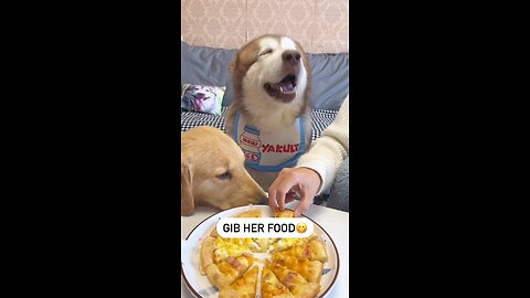 so funny 🤣🤣