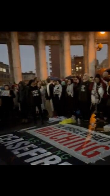 Pro-Hamas Protesters Shut Down The Manhattan Bridge in NYC