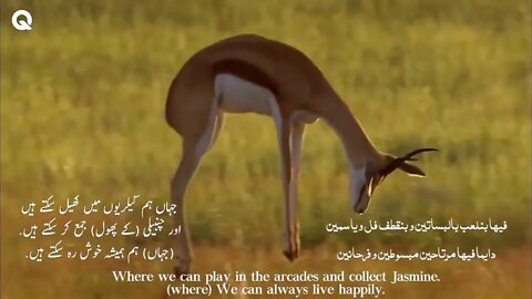 Fi Ha (Original) with English, Arabic and Urdu subtitles.mp4