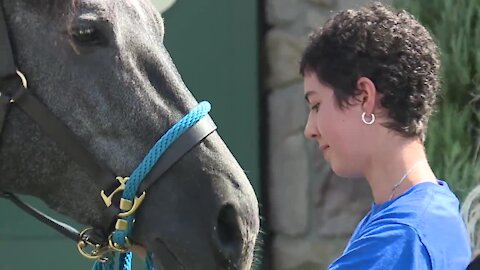 15-year-old girl from Chesterland diagnosed with cancer receives horse through Make-A-Wish