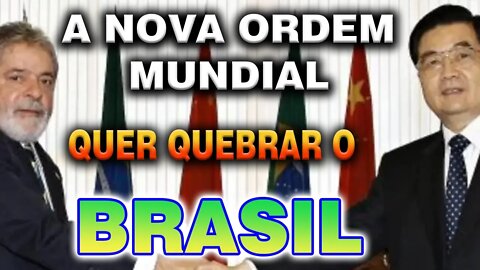 Nova Ordem Mundial e seus Interesses no BRASIL