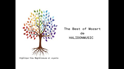 The Best of Mozart