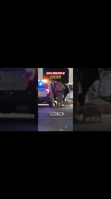 Las Vegas Puppies and Police