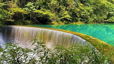 Relaxing Piano Music + "The Water Song" 💦 The Sound of Wind 피아노,마음이 편안해지는 음악,힐링