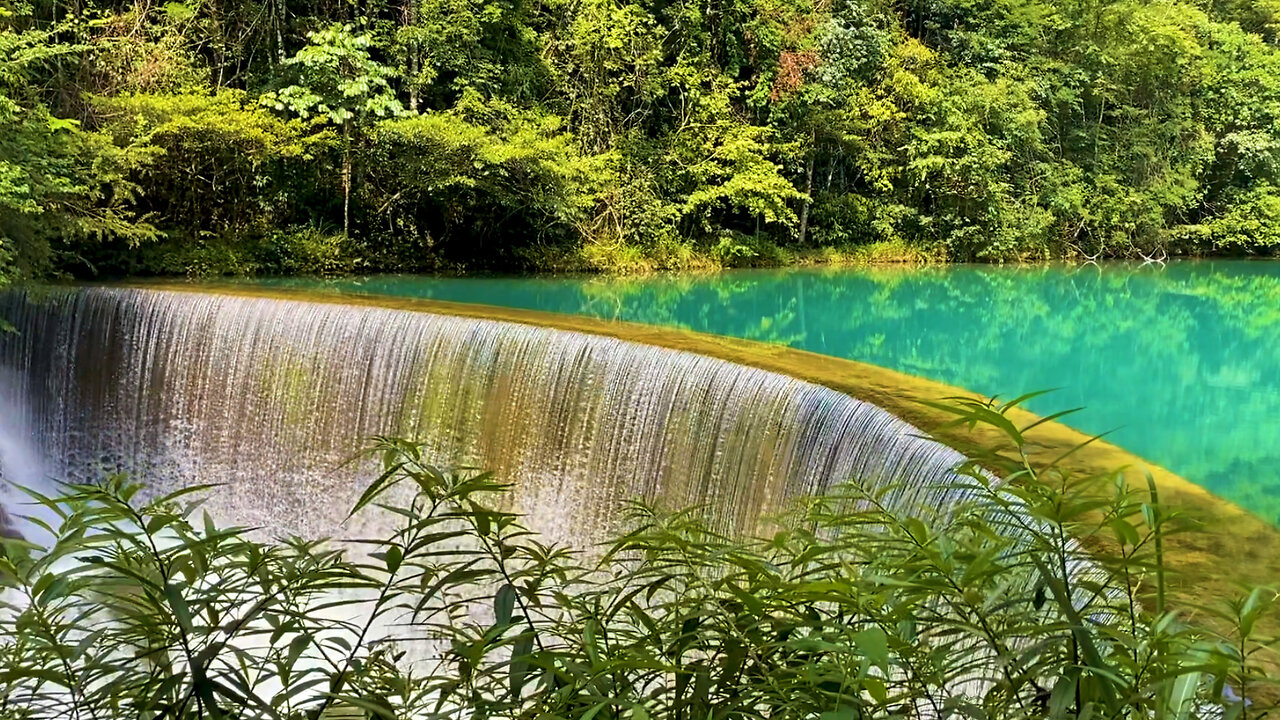 Relaxing Piano Music + "The Water Song" 💦 The Sound of Wind 피아노,마음이 편안해지는 음악,힐링