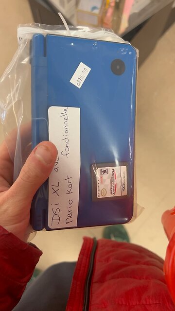 Founds a Nintendo DSI at the thrift!