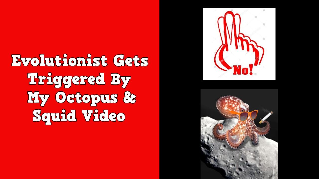 Evolutionist Gets Triggered By My Octopus & Squid Video