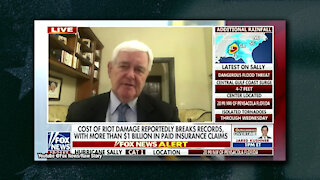 Fox News Pushes Further Left, Cuts off Newt Gingrinch After He Mentions George Soros