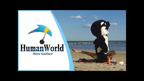 HUMAN WORLD (REMI GAILLARD) 🐬