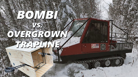 Bombardier "Bombi" vs. Overgrown Trapline