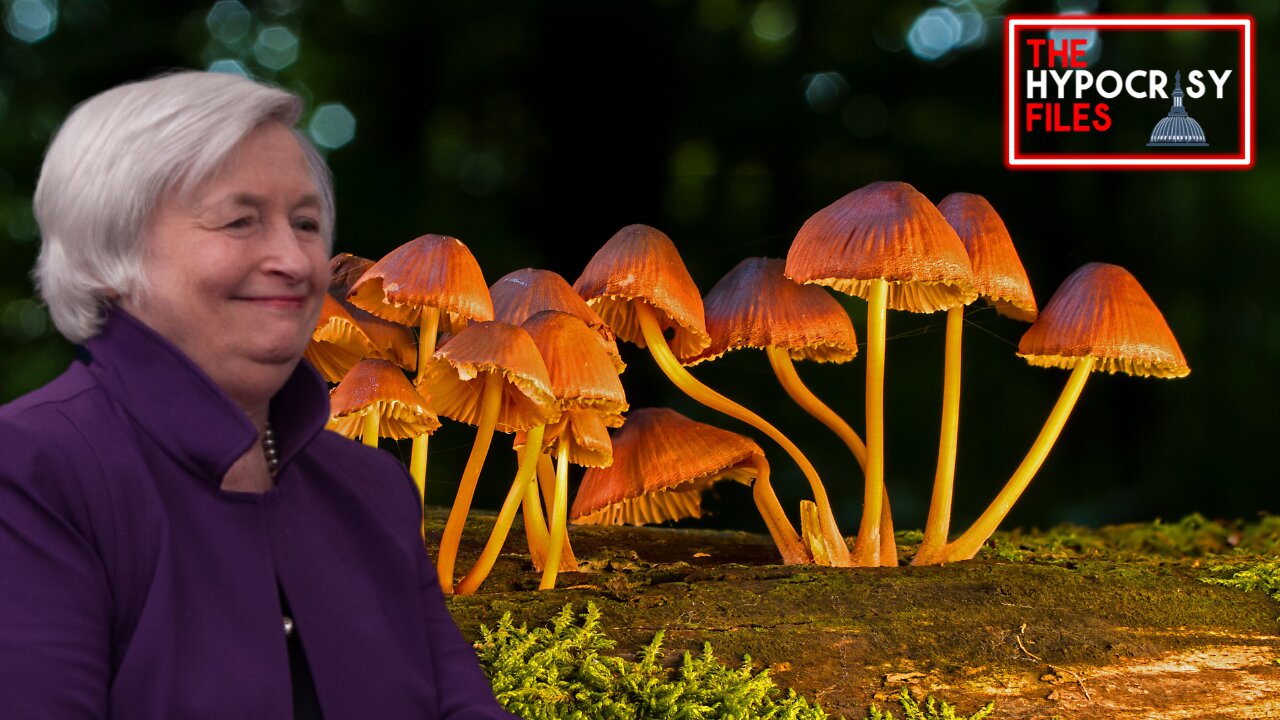 Janet Yellen & Mushrooms