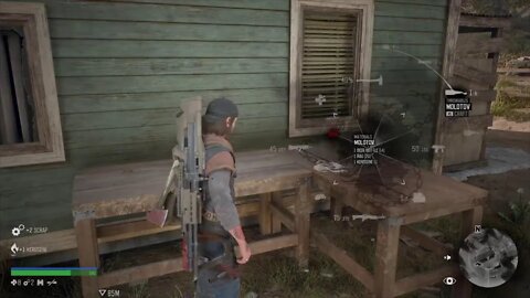 Days gone