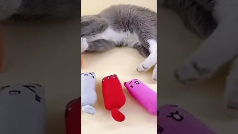 catnip cat toy ,funny cute cats ,#shorts [catnip] ,Funny Cute Pets Lovers