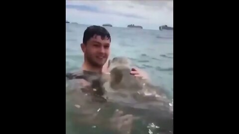 Seal approaches a human and hugs them