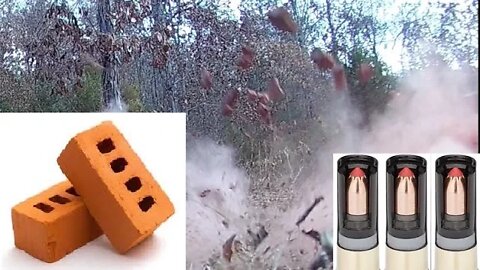 12 GA Hornady SST FTX Slug VS. BRICK