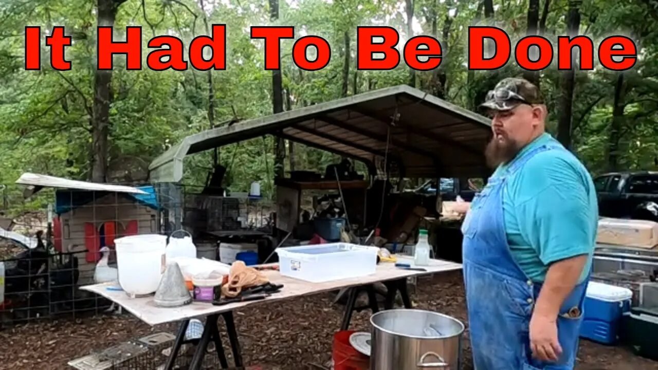 The Bad Part of Homesteading
