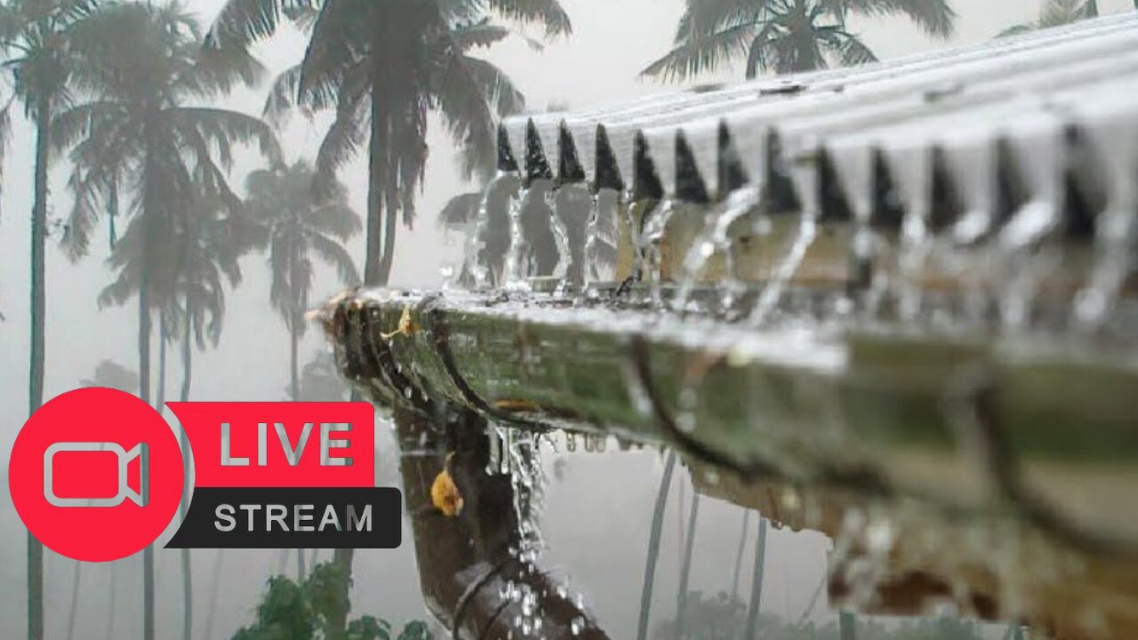 [LIVE] 🔴 Sound to calm the soul, Sleep and have Sweet Dreams! 24 Hours of Rain Sounds!!