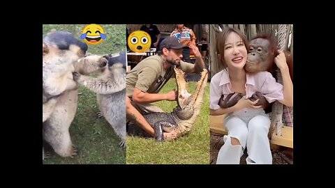 Funny wild animals 😂😲 caught on the camera 🔥