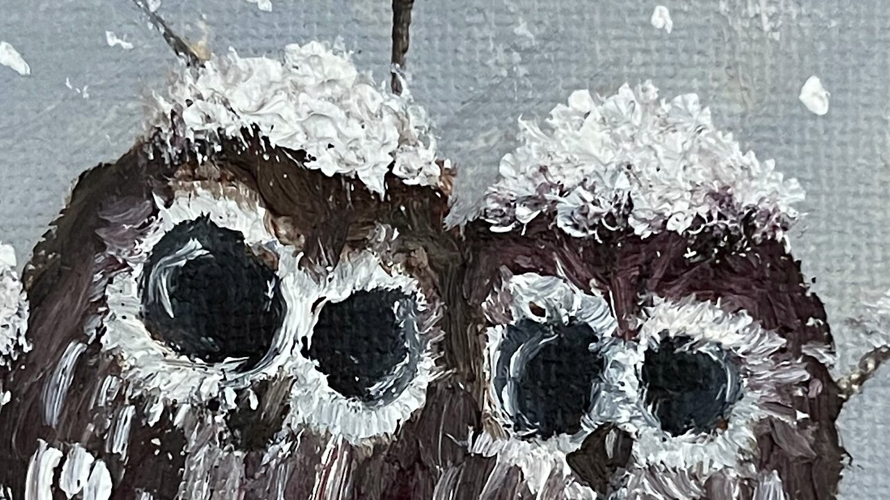 Baby Owls collecting snow on their heads.