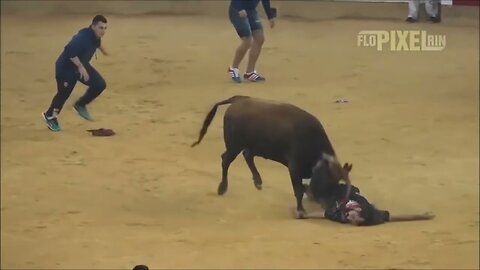 VAQUILLAS, cogidas, sustos y muchas risas