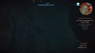 Witcher 3 The Wild Hunt - High Dive