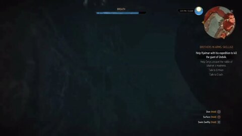 Witcher 3 The Wild Hunt - High Dive