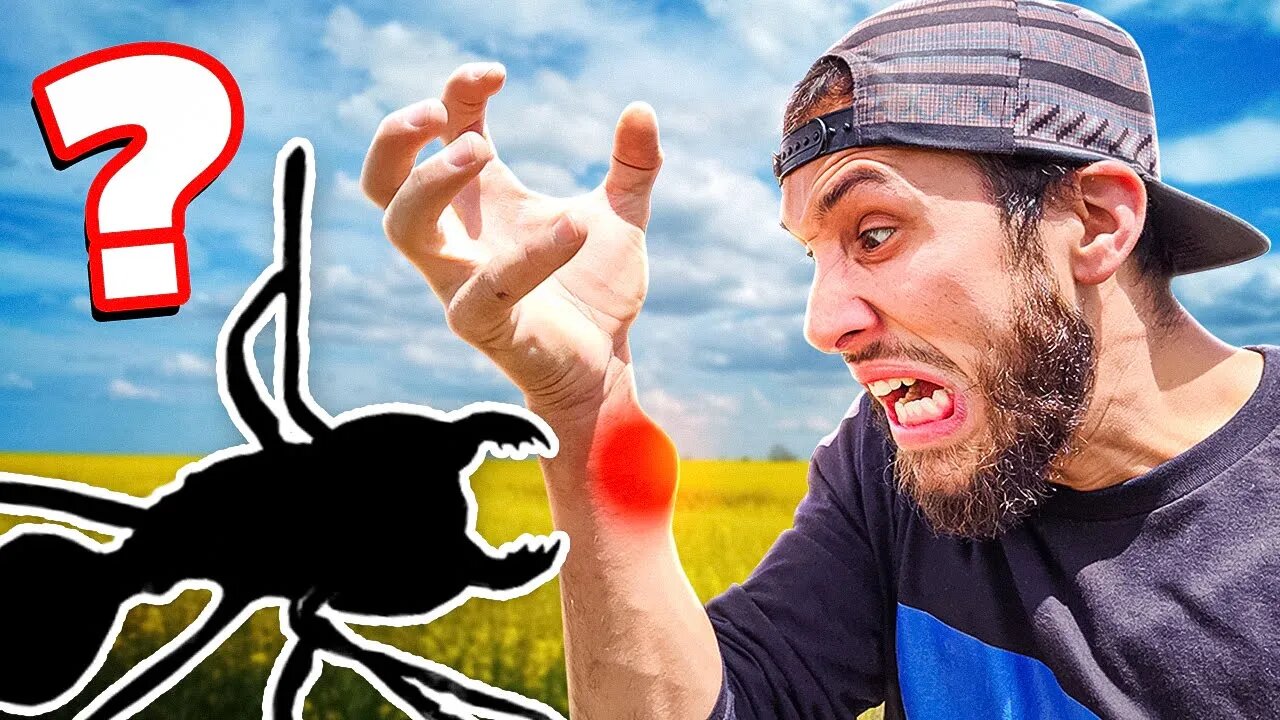 STUNG BY THE MOST VENOMOUS INSECT IN THE WORLD!