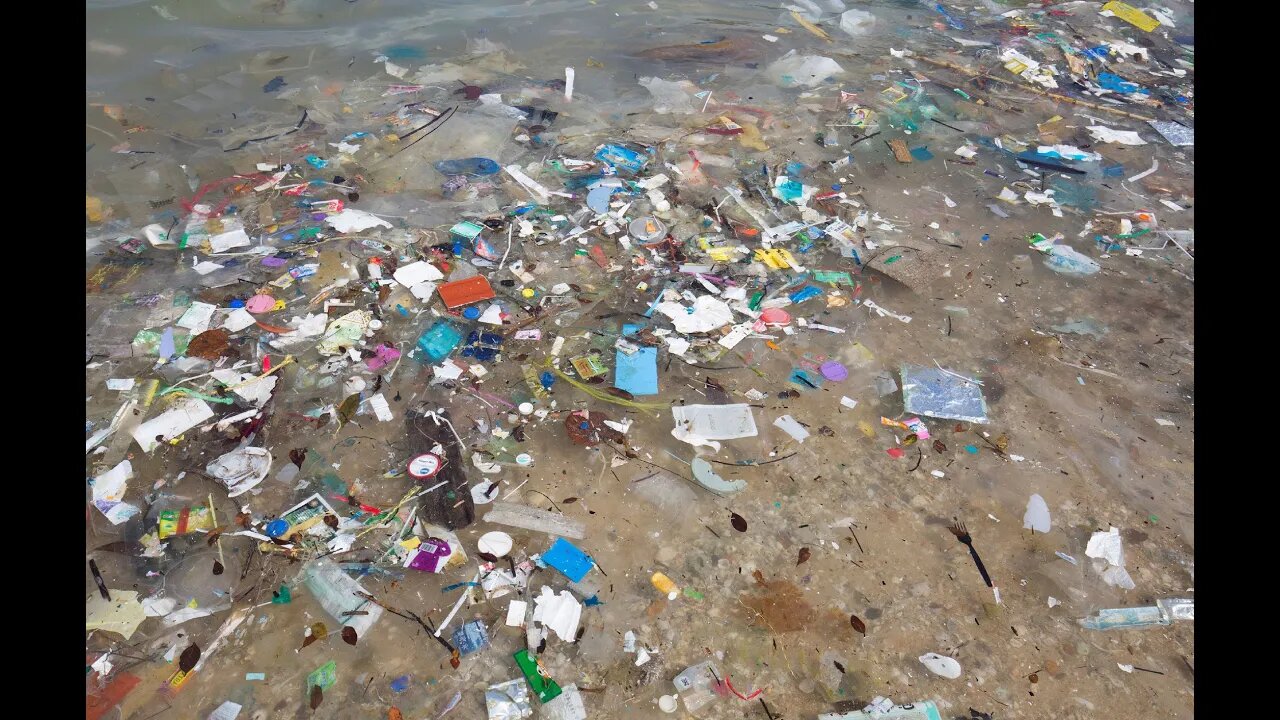 Do a bounty on mask litter!