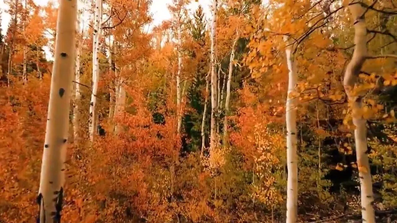 Beautiful natural scenery will really heal your mood 03
