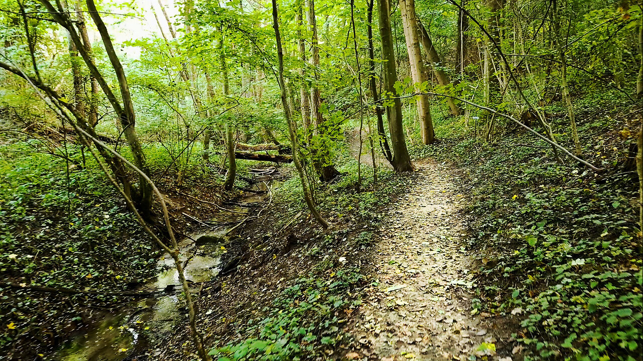 I Call It Fairytale - Forest Walk With Water Sounds No Music ASMR