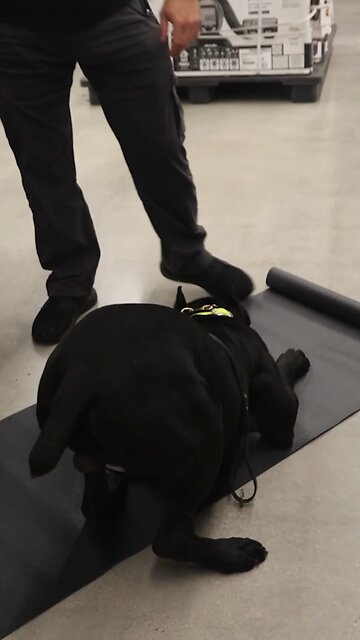 No Place Board, No Problem!