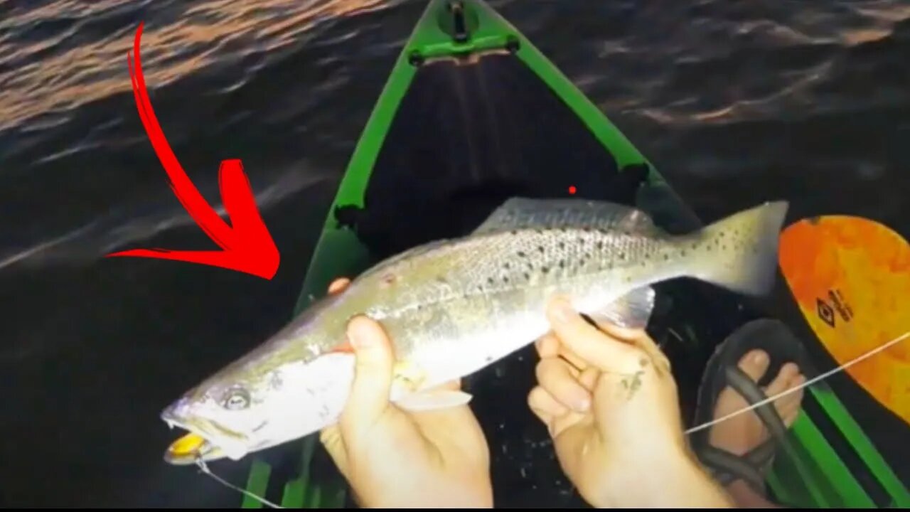 CLIPS | Sunrise Speckled Trout!