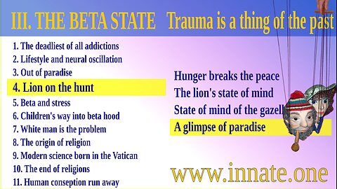 #62 Meditating lioness - Trauma is a thing of the past – A glimpse of paradise