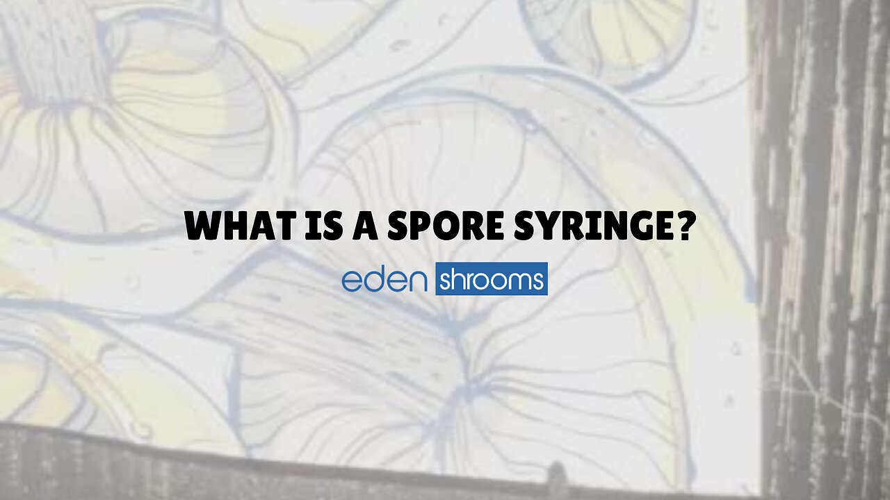 What Is A Magic Mushroom Spore Syringe?