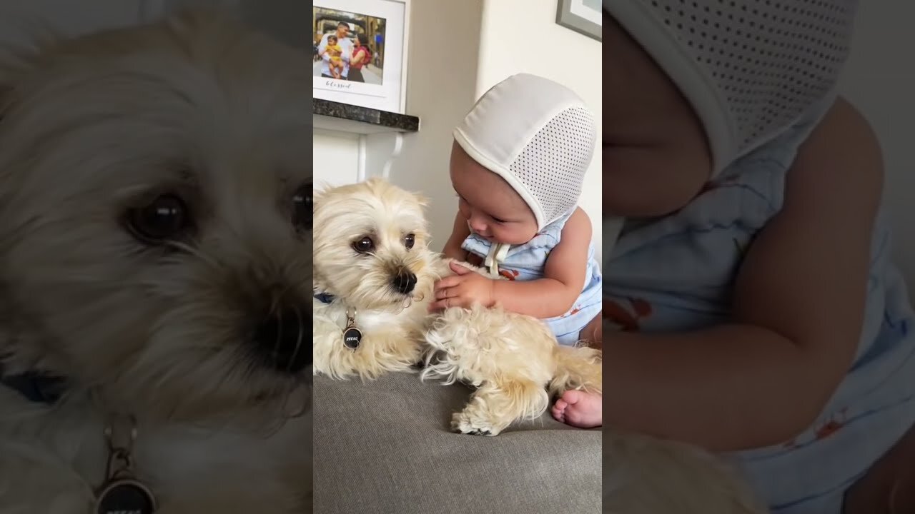 CUTEST BABY AND PUPPY EVER!!!